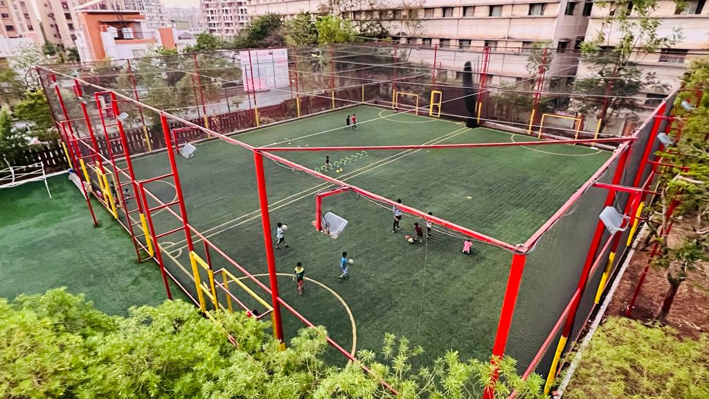 Cricket and Football turf